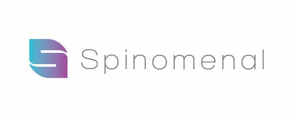 Top Strategies to Play Spinomenal Games