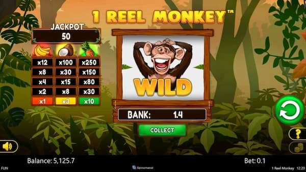 Top Tips for Playing 1 Reel Monkey by Spinomenal at 55BMW Casino