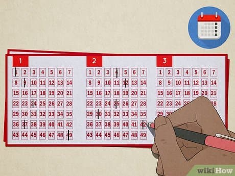 How to Play Lotto